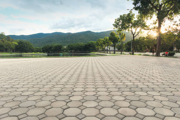 Best Driveway Paving Contractor  in Weldon, NC